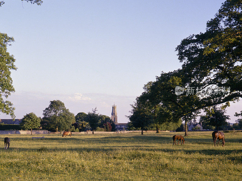 风景优美的科茨沃尔德- Minchinhampton Common